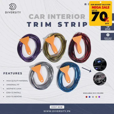 Car Interior Trim Strip